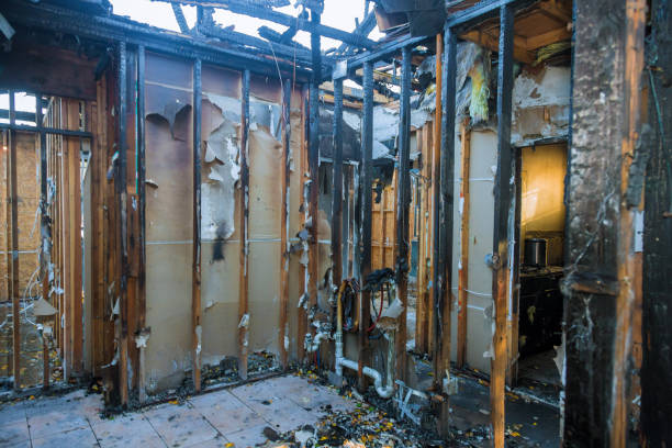 Professional Soot Cleanup technician working in Dry Ridge, KY